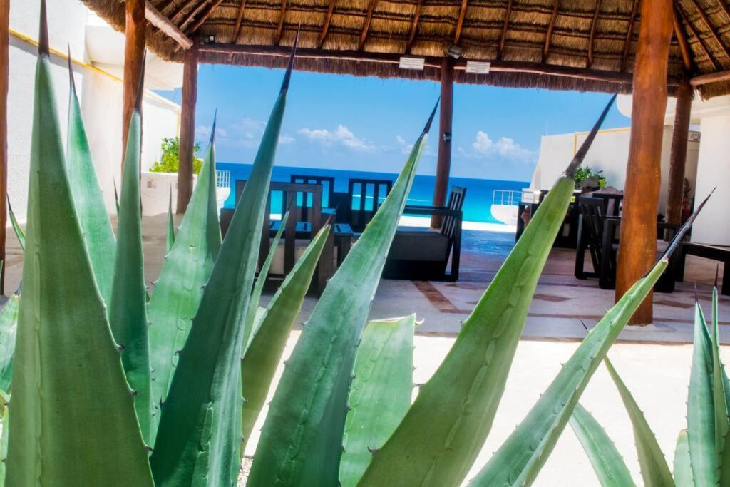 Ocean Front Villa Marlin, Best Location In Hotel Zone #109 Cancun Dış mekan fotoğraf